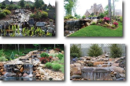 Common Landscaping Mistakes