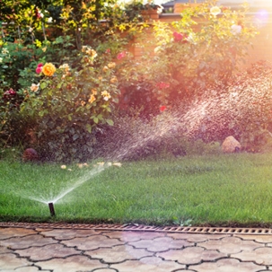 Sprinkler