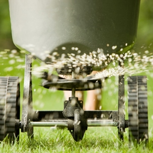 Lawn and water